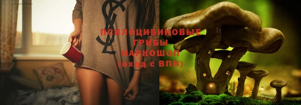 кокс Алексин