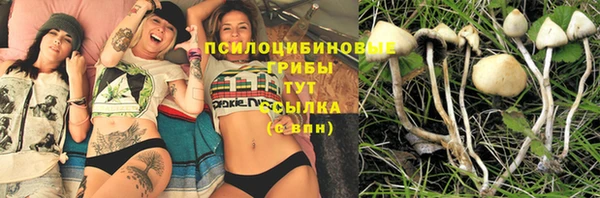 кокс Алексин