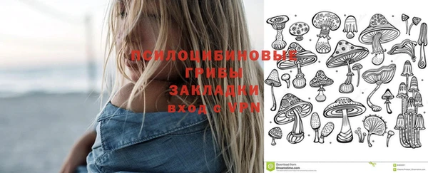 кокс Алексин