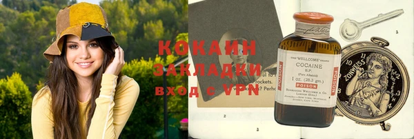 кокс Алексин