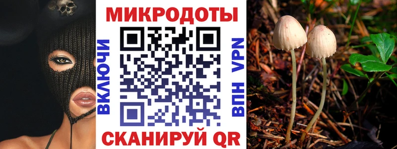 где найти наркотики  Арсеньев  даркнет как зайти  Псилоцибиновые грибы Psilocybine cubensis  MEGA ONION 
